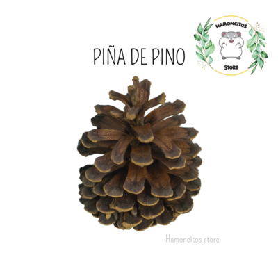 PIÑAS DE PINO
