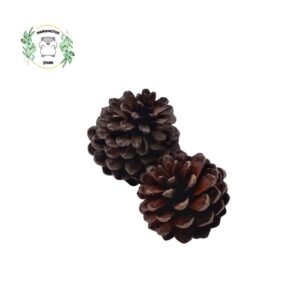 PIÑAS DE PINO