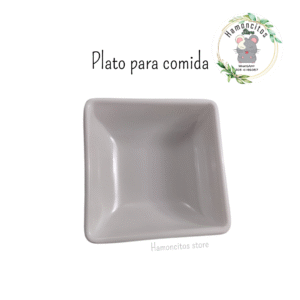 PLATO SENCILLO