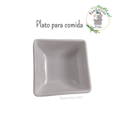 PLATO SENCILLO