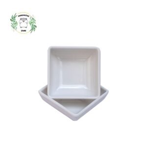 PLATO SENCILLO